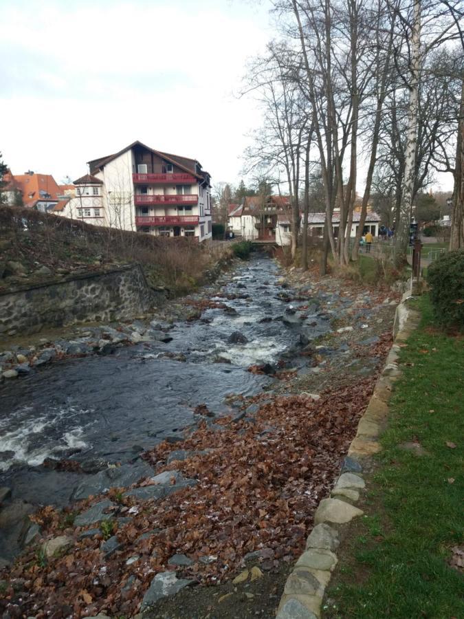 Ferienwohnung Malia In Waldnaehe Mit Schoenem Balkonausblick Bad Harzburg Exteriör bild