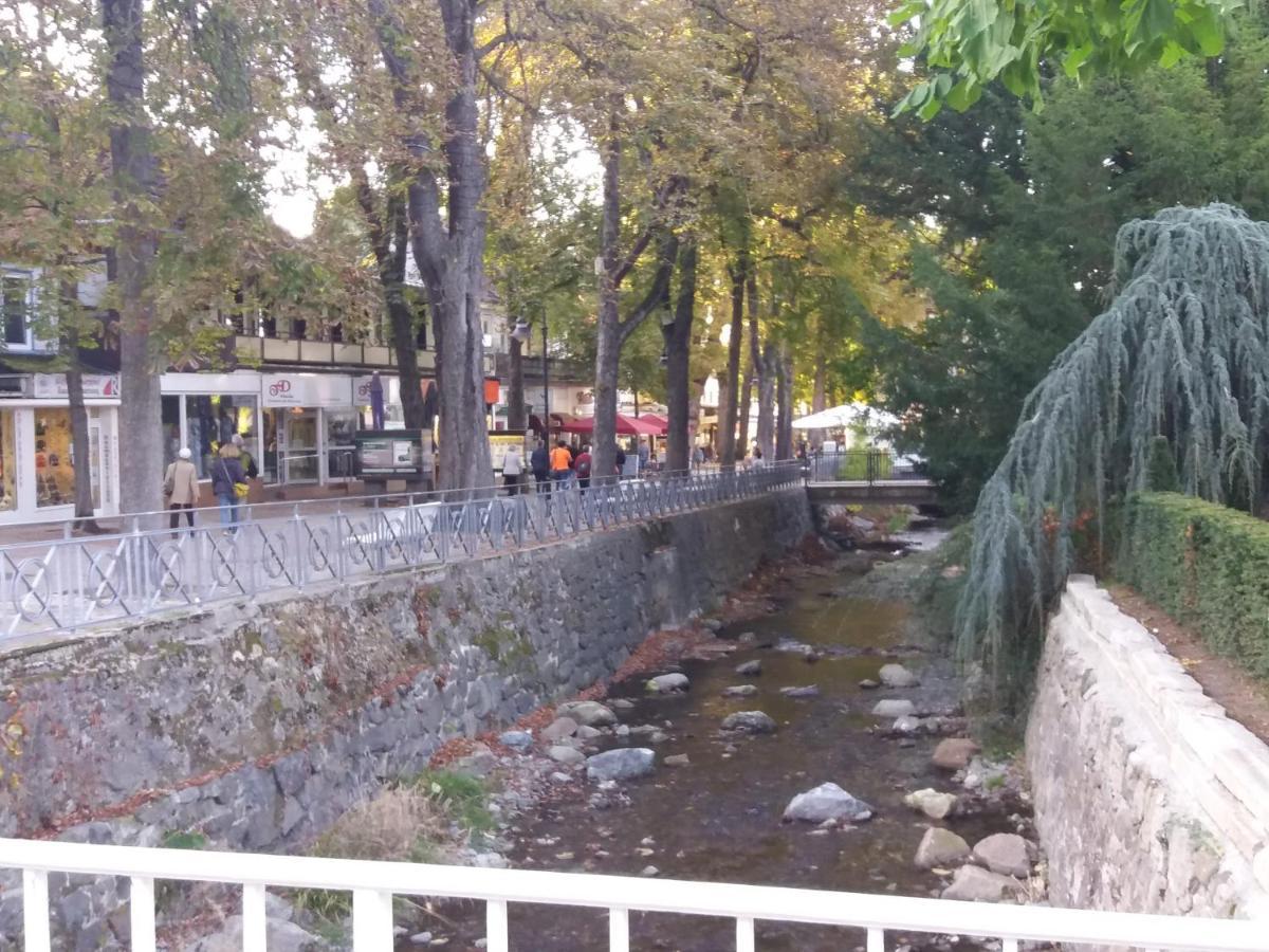 Ferienwohnung Malia In Waldnaehe Mit Schoenem Balkonausblick Bad Harzburg Exteriör bild