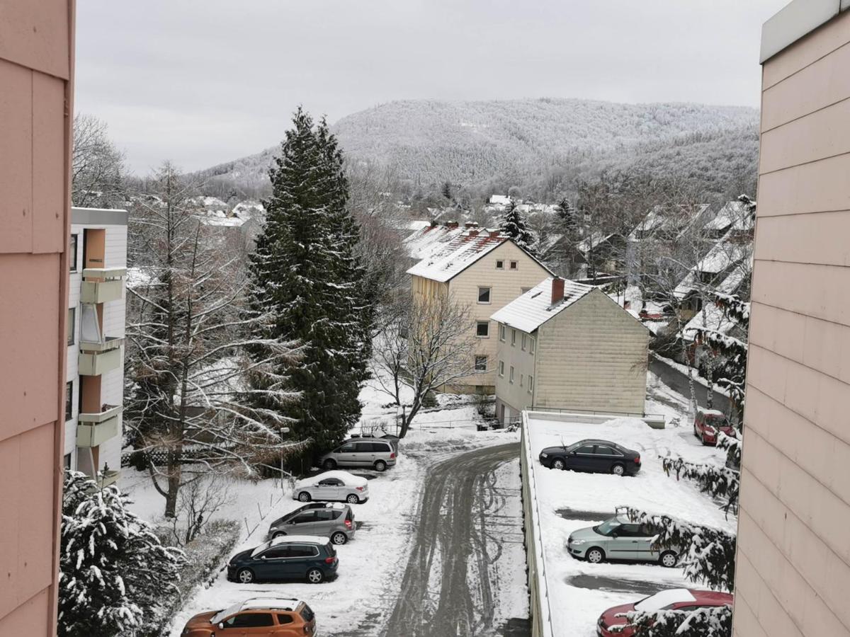 Ferienwohnung Malia In Waldnaehe Mit Schoenem Balkonausblick Bad Harzburg Exteriör bild